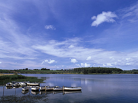 xs đong nai