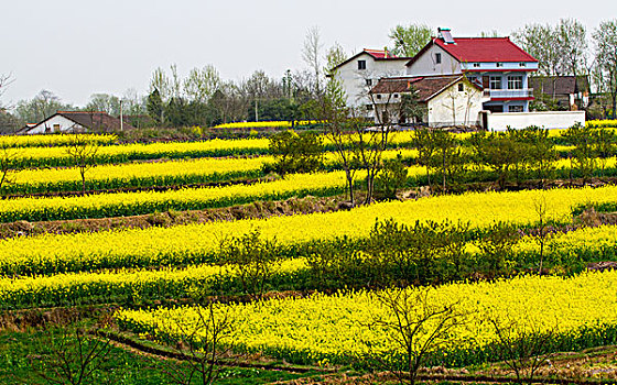 xổ số thứ miền bắc hôm nay