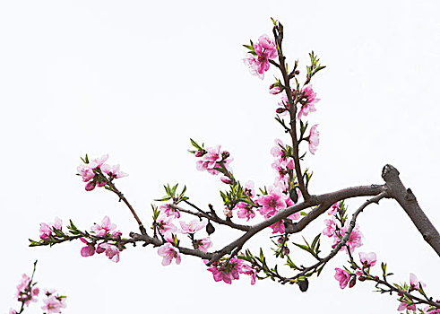 xổ số kiến thiết quảng trị