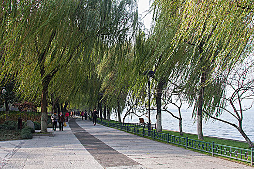 thống kê xổ số bến tre