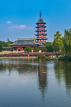 soi lo bạch thủ